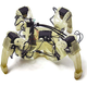 Image for article titled Can Life Evolve from Wires and Plastic?